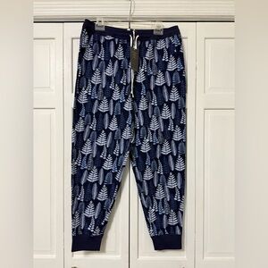 NWT Garnet Hill Blue Fern Flannel Jogger Pajama Pants Medium Organic Pima Cotton